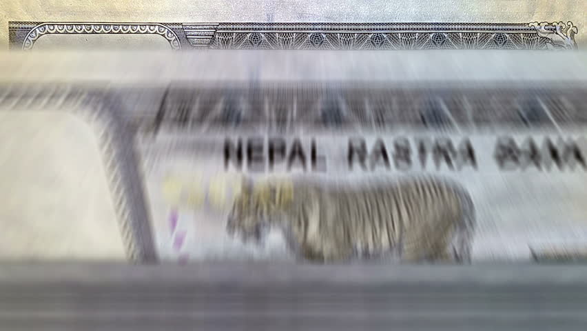 Nepal money Nepali rupees counting machine with banknotes. Quick 500 NPR currency note down rotation. Business and economy concept loopable and seamless background. Royalty-Free Stock Footage #3400054137
