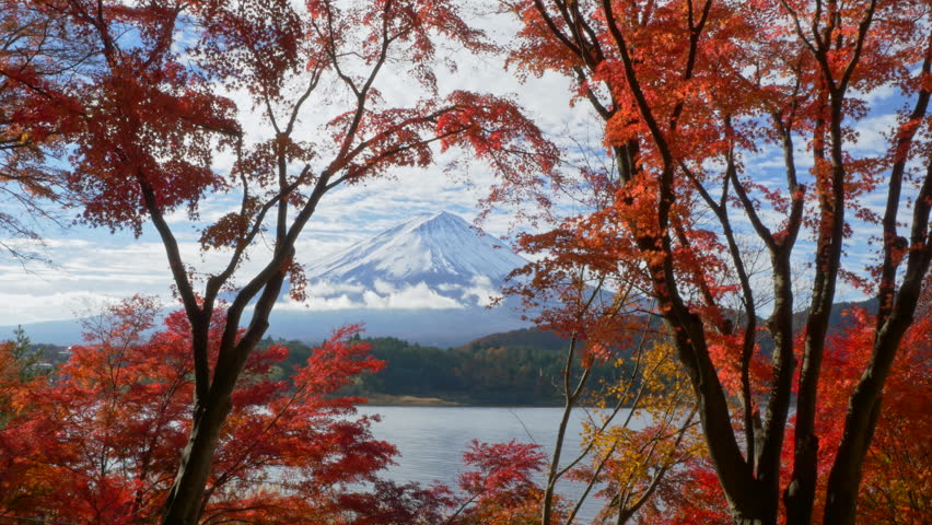Mountain fuji with red maple in Autumn, Kawaguchiko Lake, Japan