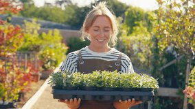 Portrait of smiling woman wearing apron holding tray of plant seedlings working outdoors in garden centre - shot in slow motion - Powered by Shutterstock - Get 15% off with code: PIKWIZARD15