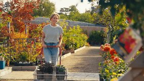 Woman pushing trolley outdoors in garden centre choosing plants and buying rose - shot in slow motion - Powered by Shutterstock - Get 15% off with code: PIKWIZARD15