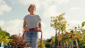 Woman pushing trolley outdoors in garden centre choosing plants and buying rose - shot in slow motion - Powered by Shutterstock - Get 15% off with code: PIKWIZARD15