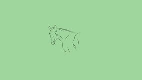 horse silhouette on green background.4k video loop animation.