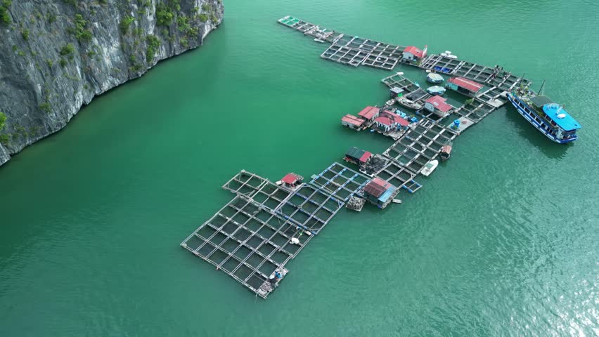 A high drone footage of a boat moored at the touring floating fishing village in Cat Ba island, Lan Ha Bay, Hai phong, Vietnam