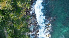 An aerial top view video of sea waves crashing on the shore covered with palm trees