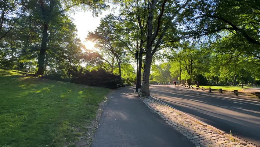 Walking in the Central Park, Manhattan, New York City, United States