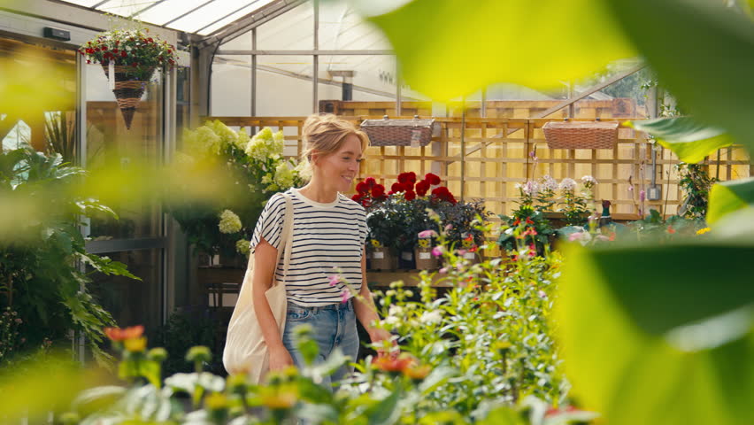 Woman inside greenhouse in garden centre choosing and buying red Echinacea plant - shot in slow motion