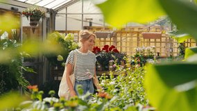 Woman inside greenhouse in garden centre choosing and buying red Echinacea plant - shot in slow motion - Powered by Shutterstock - Get 15% off with code: PIKWIZARD15