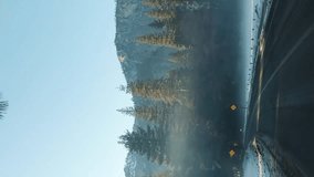 Driving Car in Yosemite National Park at Sunset. California, USA.. Vertical Video - Powered by Shutterstock - Get 15% off with code: PIKWIZARD15