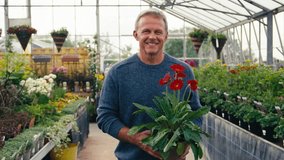 Portrait of mature man inside greenhouse in garden centre choosing and buying red gerbera plant - shot in slow motion - Powered by Shutterstock - Get 15% off with code: PIKWIZARD15