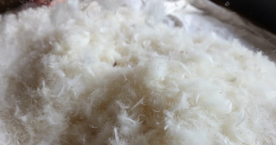 White goose feathers and down with pillow texture background concept