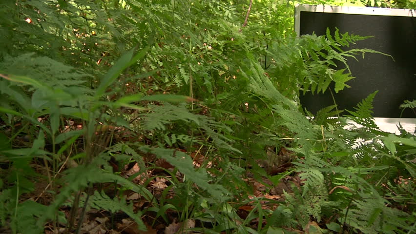 Laptop computer in eco friendly nature.  Technology being eco friendly in the great outdoors. 