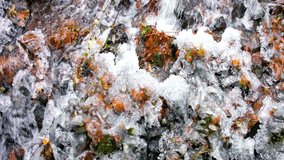 4K Video: Close-Up of Beautiful View of Frozen Mountain Clear Stream in Winter - Icy Elegance