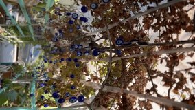 Vertical 16:9 video: Moving through a foliage-covered bridge, adorned with Turkish evil eye beads on the ceiling. A captivating, protective display 