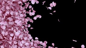 Cherry Blossom Transition on Alpha channel. 3D Rendering. Transition of cherry blossom place on footage or background and easier to adjust colour. - Powered by Shutterstock - Get 15% off with code: PIKWIZARD15