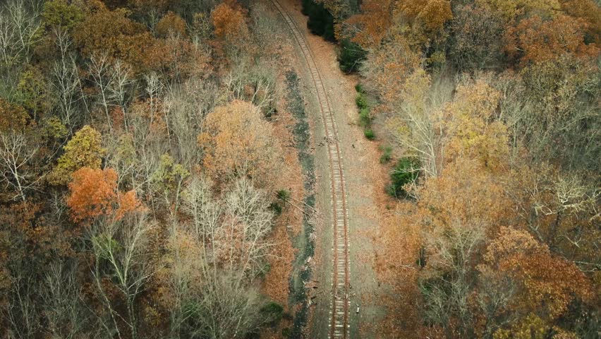 Train tracks disappearing into fog