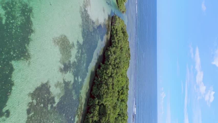 Birds habitat island in the tourist beach area in Boca Chica, Dominican Republic