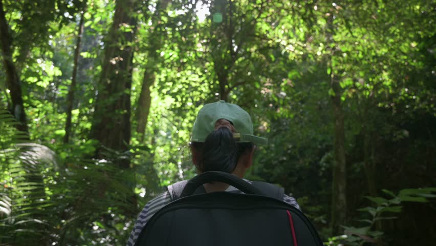 Tracking rear view shot of woman with backpack trekking in dense lush foliage rainforest under the shade of trees during summer. Jungle adventure. Outdoor pursuit. Solo hiking. UHD.4K.