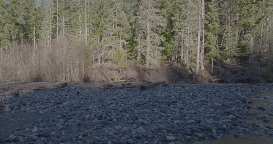 Drone video trucking shot flying at low altitude over Nisqually River in Gifford Pinchot National Forest, Washington.