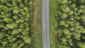 Car is Going on Country Road in Green Conifer Forest in Norway in Summer Day. Aerial Vertical Top-Down View. Drone is Flying Sideways. Vertical Video - Powered by Shutterstock - Get 15% off with code: PIKWIZARD15