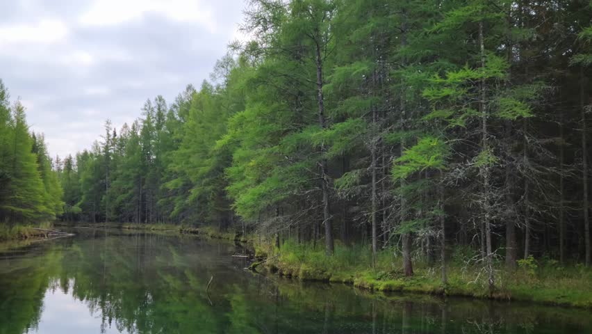 Kitch-Iti-Kipi (The Big Spring). The largest natural, freshwater spring in Michigan, USA.