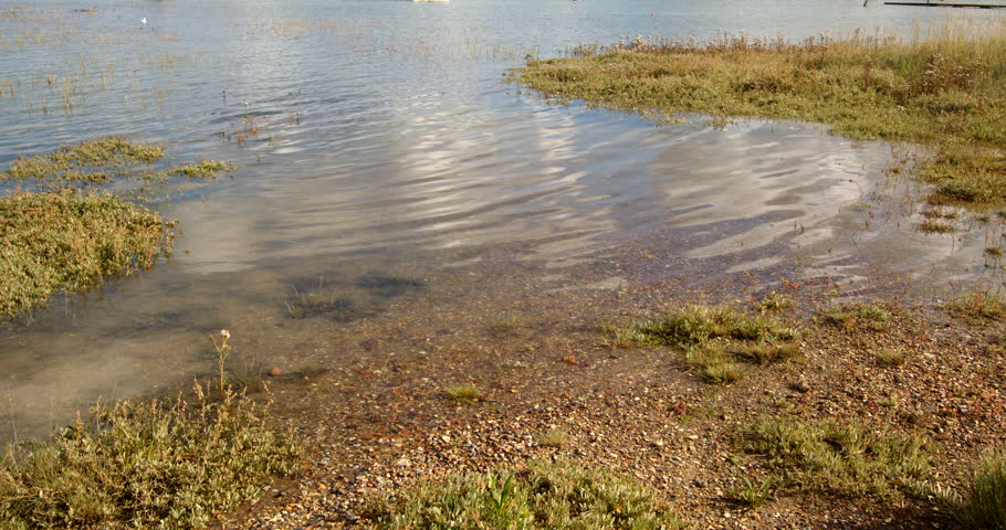 Mid shot of low lying grass flooded at high tide taken at Ashlett creek sailing club in the Solent, Southampton Royalty-Free Stock Footage #3402116027