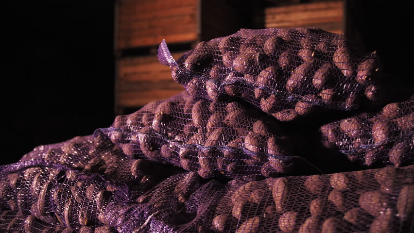 Sacks of potatoes in the vegetable store