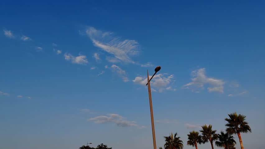 Blue SKY background with their white clouds, Street lights pool and some palm-trees 