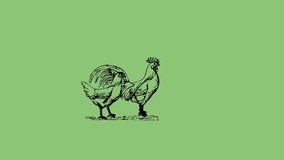 animated of rooster and chicken silhouette on green background.4k video loop animation.