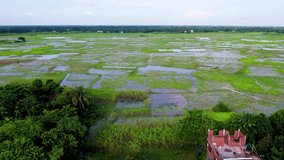 Natural Wetlands in Bangladesh, A Drone's Journey Through a Green Village Paradise