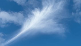 Cirrus cloud with a flowery shape above faster-moving puffy clouds in blue sky. Late afternoon at winter solstice in southwest Florida. - Powered by Shutterstock - Get 15% off with code: PIKWIZARD15