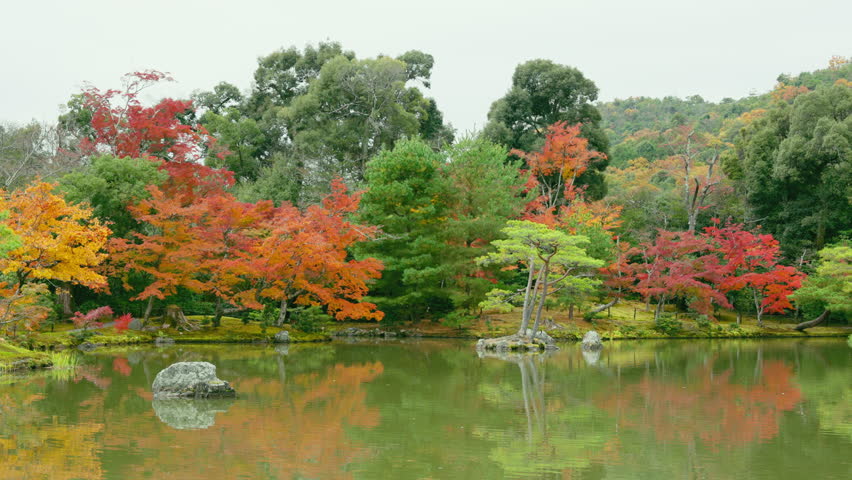 Beautiful autumn forest and pond in the park. Orange red and green color tree nature scene, Kyoto, Japan
