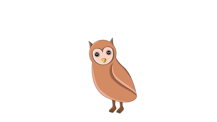 animated video of the owl icon.4k video quality