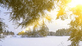 Winter landscape with snowfall, Christmas winter beautiful landscape, cinemagraph, video loop, beautiful soft snowfall