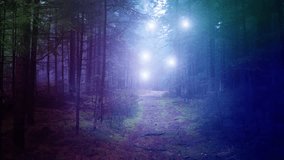Dark foggy colorful mysterious forest fairy light movement animation background.	
 - Powered by Shutterstock - Get 15% off with code: PIKWIZARD15