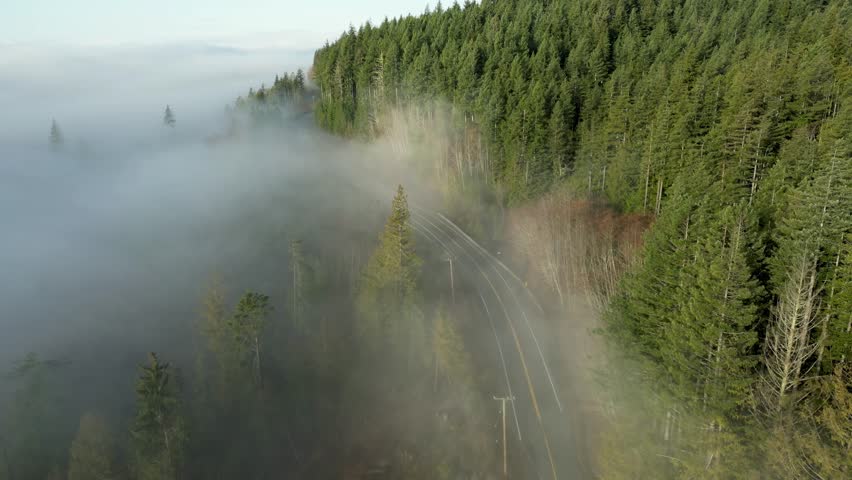 Scenic highway on the Coast of Pacific Ocean. Foggy, Vancouver Island, BC, Canada.