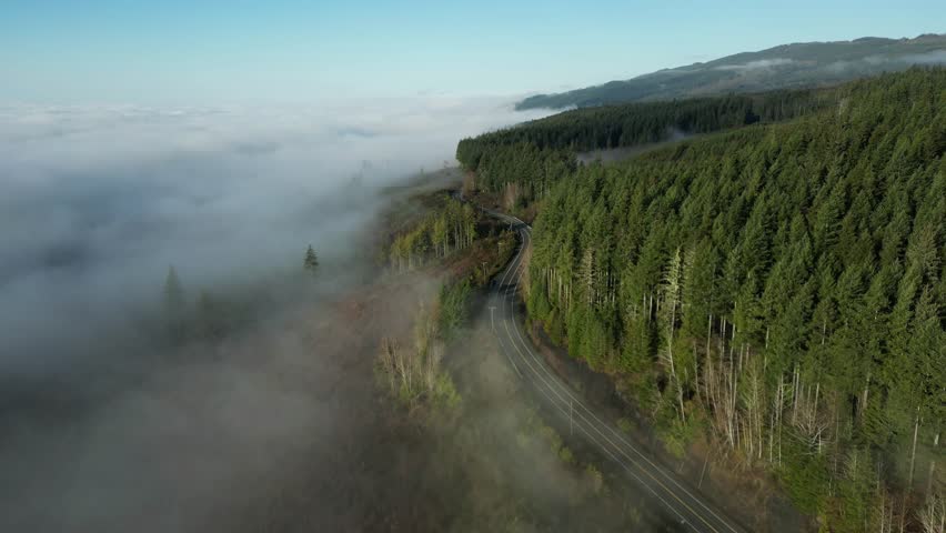 Scenic highway on the Coast of Pacific Ocean. Foggy, Vancouver Island, BC, Canada.