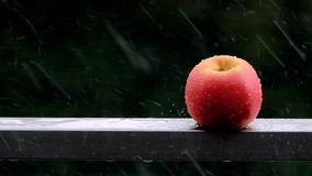 Fresh red apple in rain on a black background.organic food healthy food.
