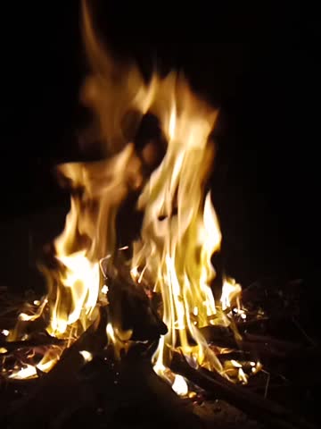 A burning wood fire in forest camp.