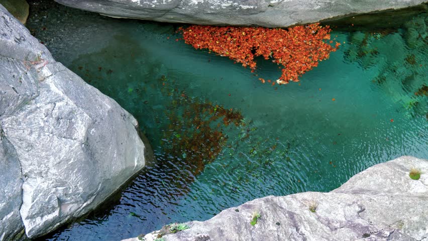Clear water with slow flow is hugged by the rocks. Top view of the fallen leaves accumulated near the giant rock