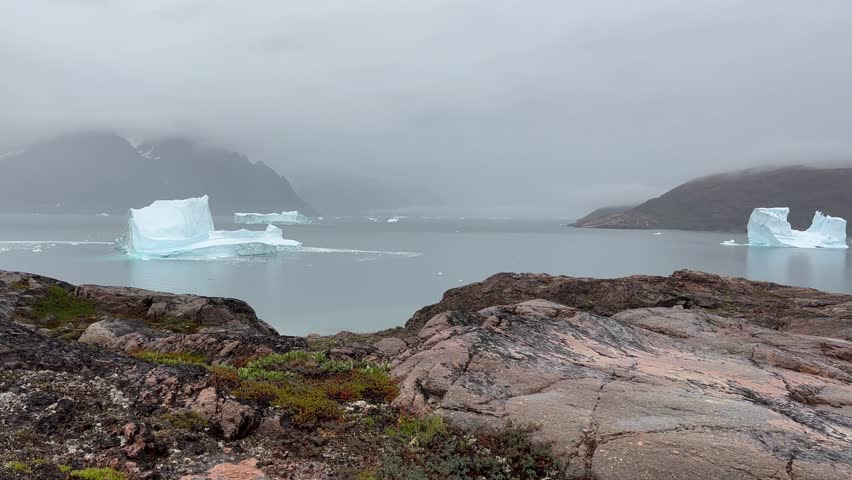 Panoramic view of Jyttehavn with icebergs. Scoresbysund, Greenland.