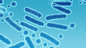 Enterobacteriaceae, gram-negative rod-shaped bacteria, part of intestinal microbiome and causative agents of different infections, 3D rendering. Escherichia coli, Klebsiella, Enterobacter and other - Powered by Shutterstock - Get 15% off with code: PIKWIZARD15