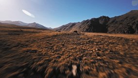 Low flight of a sports FPV drone at high speed high in the mountains over a yellow autumn field surrounded by snow-capped mountains of the Caucasus mountain range and Elbrus volcano - Powered by Shutterstock - Get 15% off with code: PIKWIZARD15