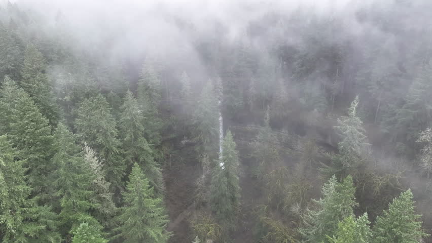Mist flows slowly over a scenic waterfall in the midst of Oregon