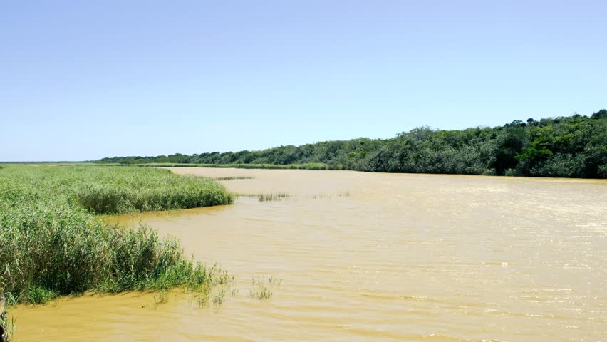 Landscape shot of  iSimangaliso Wetland Park river, KwaZulu Natal, South Africa.