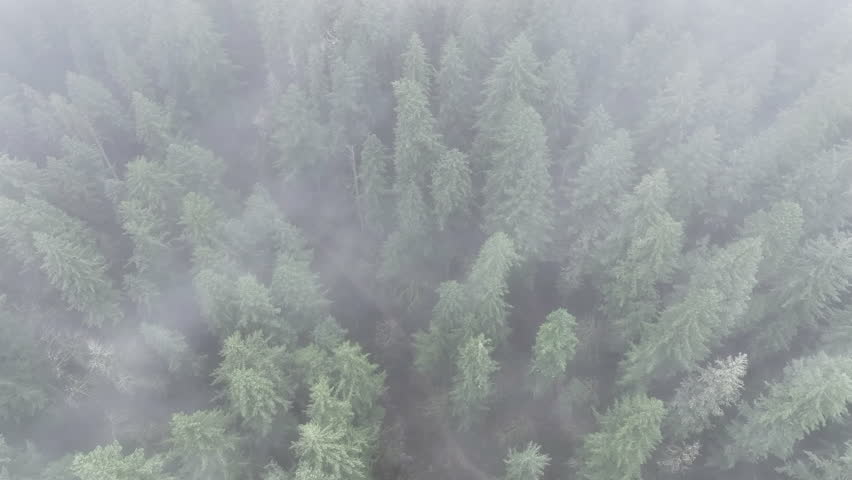 Mist flows slowly over a scenic waterfall in the midst of Oregon