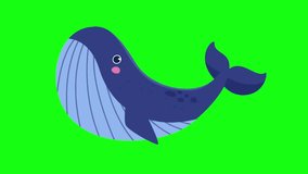 Swimming blue whales or sharks cartoon animation for kids on green screen background, under water sea fish animation video 