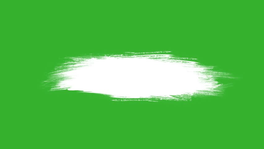 Shutterstock Video