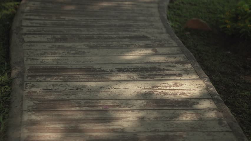 walkway pathway in flower garden park