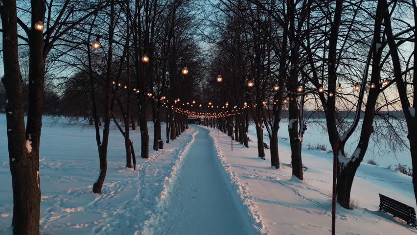 illuminated alley in snowy winter park, snow in forest and road with festive decorated light bulbs 4k