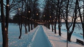 illuminated alley in snowy winter park, snow in forest and road with festive decorated light bulbs 4k - Powered by Shutterstock - Get 15% off with code: PIKWIZARD15